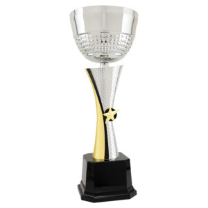 Silver/Gold Textured Completed Metal Cup Trophy