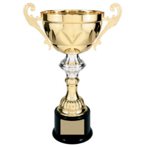 Gold Completed Metal Cup Trophy on Plastic Base